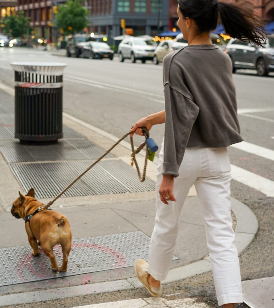 dog walking in urban areas