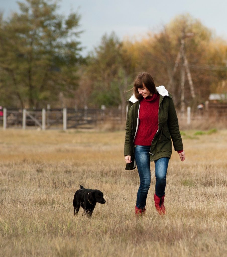 dog walking in rural areas